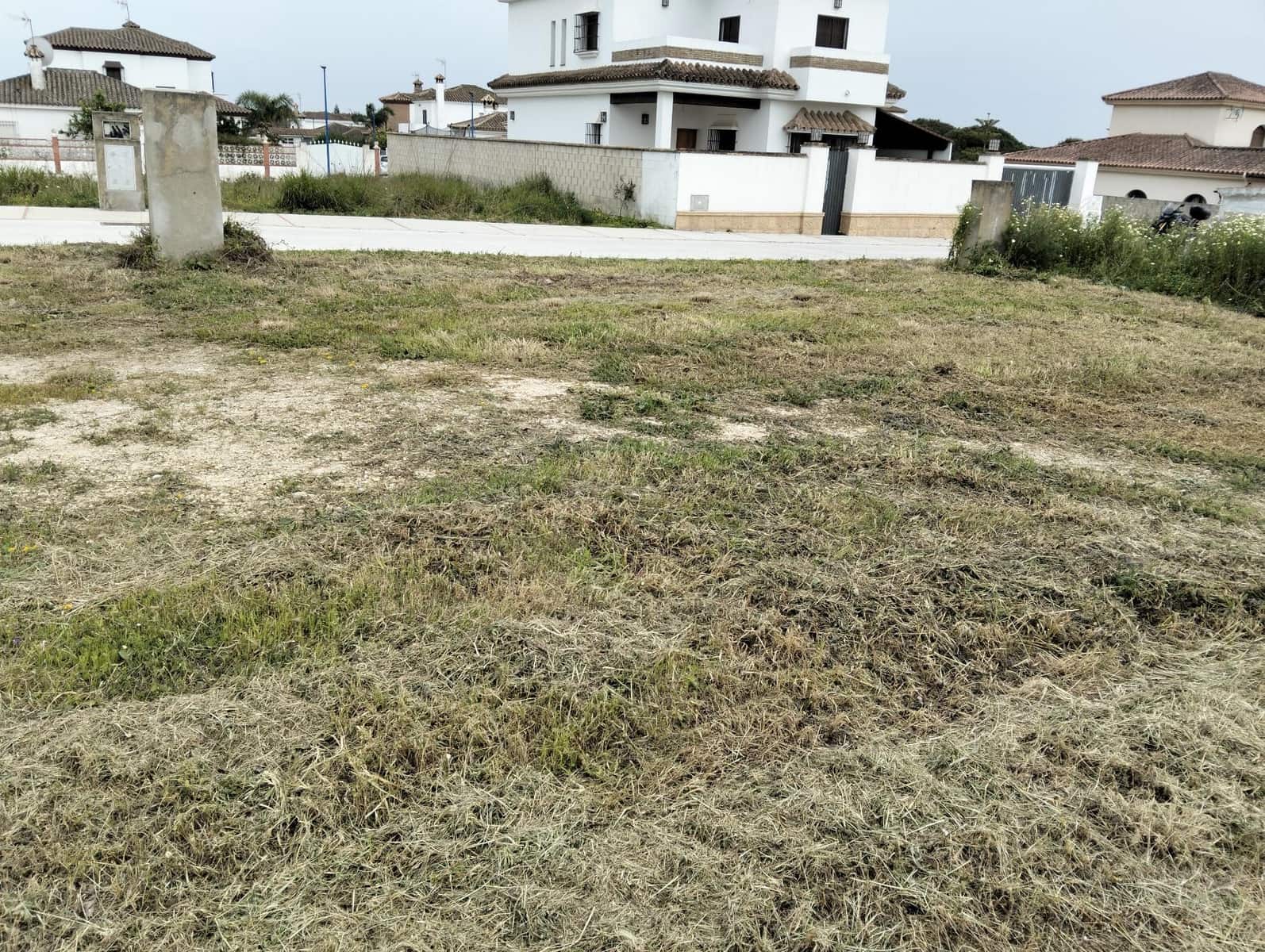 Tontti myytävänä paikassa Chiclana de la Frontera - 155 000 € (Ref: 7716303)