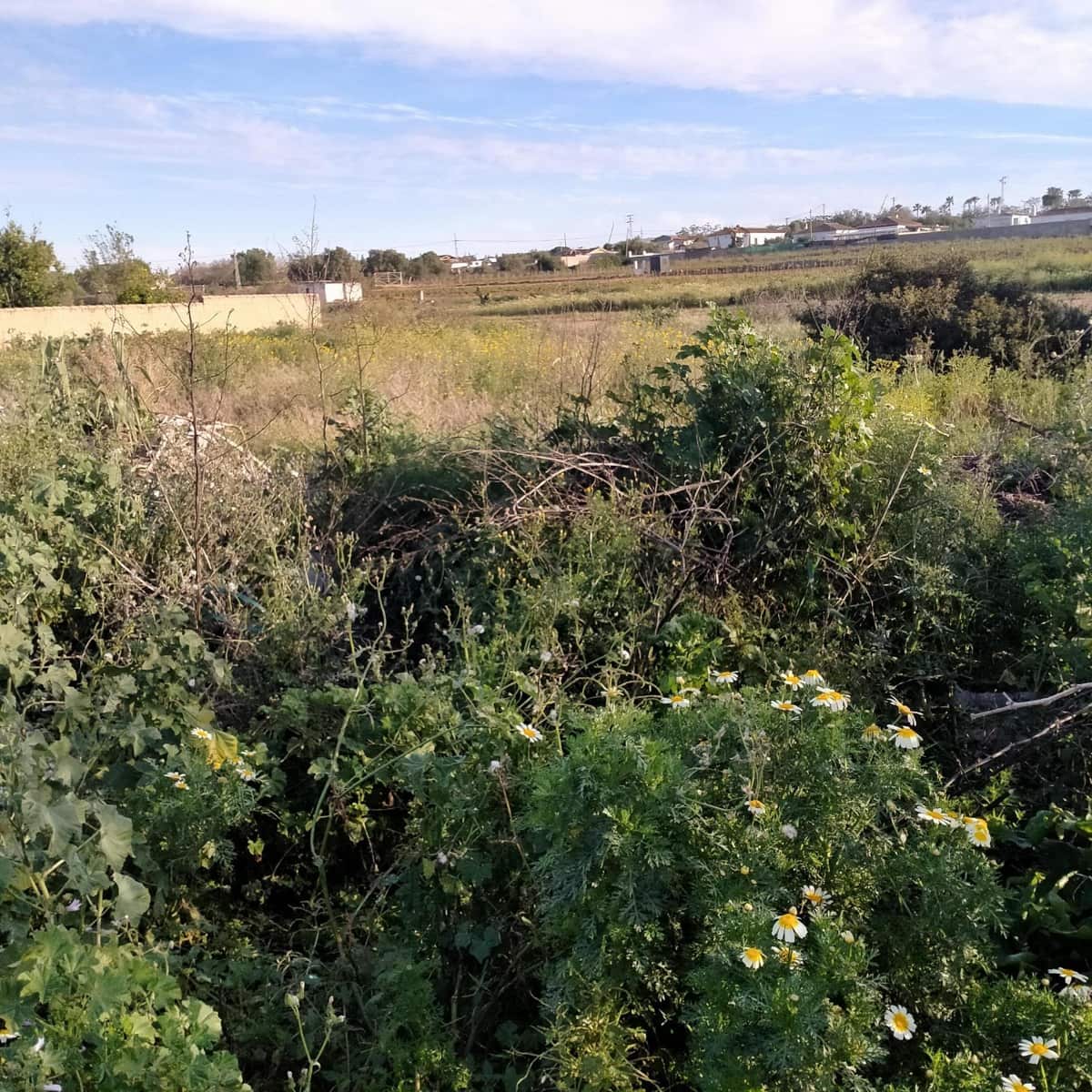 Building Plot for sale in Chiclana de la Frontera - € 35,000 (Ref: 7716340)