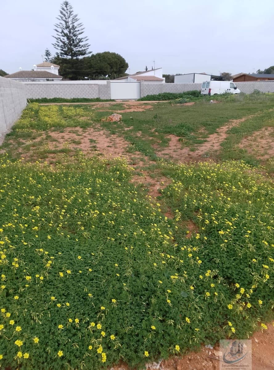 Solar/Parcela en Chiclana de la Frontera en venta - 35.000 € (Ref: 7716340)