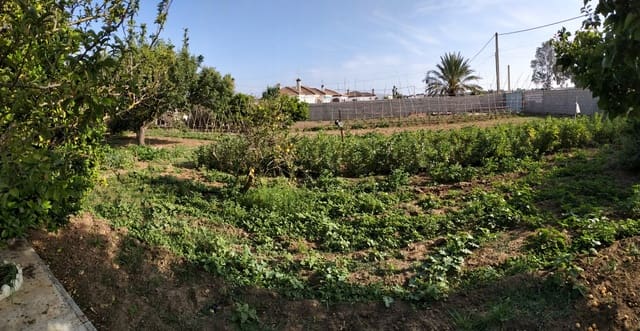 3 sypialnia Willa na sprzedaż w Chiclana de la Frontera - 280 000 € (Ref: 7716341)
