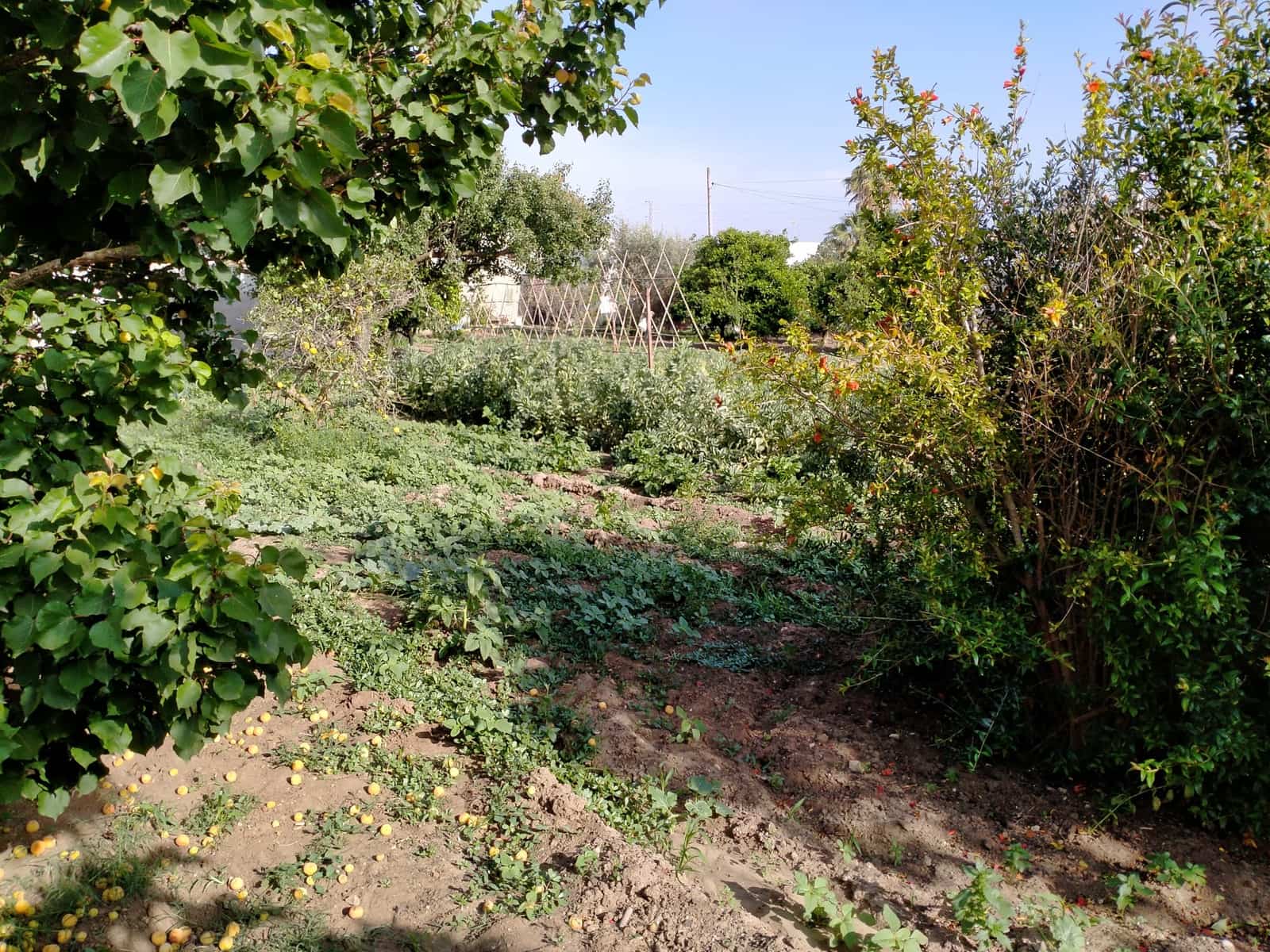 3 bedroom Villa for sale in Chiclana de la Frontera - € 280,000 (Ref: 7716341)