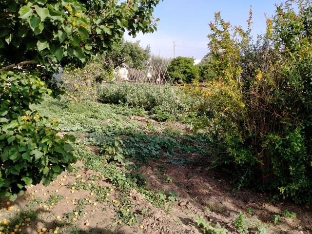 3 sypialnia Willa na sprzedaż w Chiclana de la Frontera - 280 000 € (Ref: 7716341)