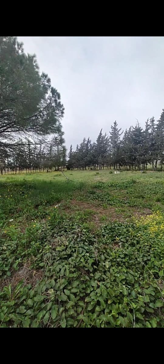 2 camera da letto Villa in vendita in Pago del Humo - 65.000 € (Rif: 7716378)