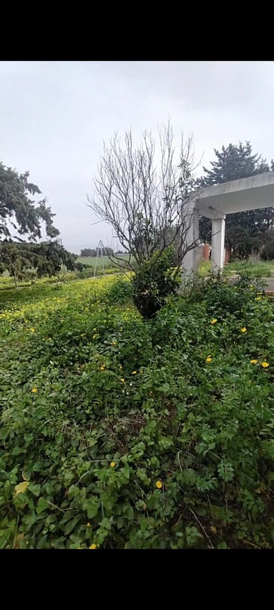 2 camera da letto Villa in vendita in Pago del Humo - 65.000 € (Rif: 7716378)