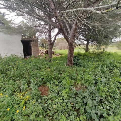 2 makuuhuone Huvila myytävänä paikassa Pago del Humo, Chiclana de la Frontera - 65 000 € (Ref: 7716378)