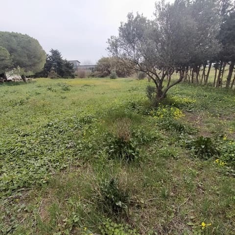 2 makuuhuone Huvila myytävänä paikassa Pago del Humo, Chiclana de la Frontera - 65 000 € (Ref: 7716378)