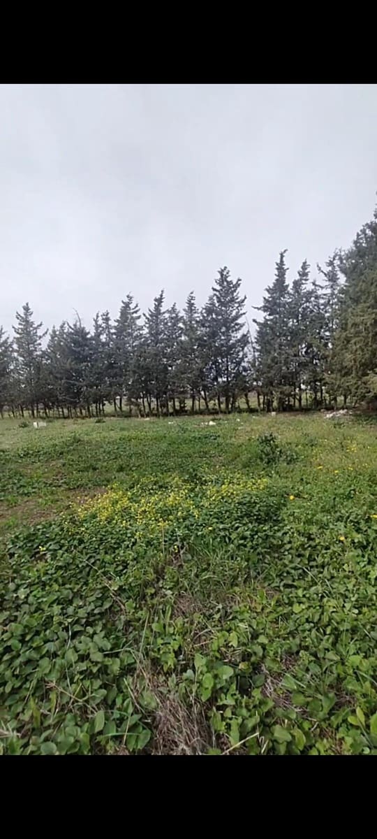 2 camera da letto Villa in vendita in Pago del Humo - 65.000 € (Rif: 7716378)