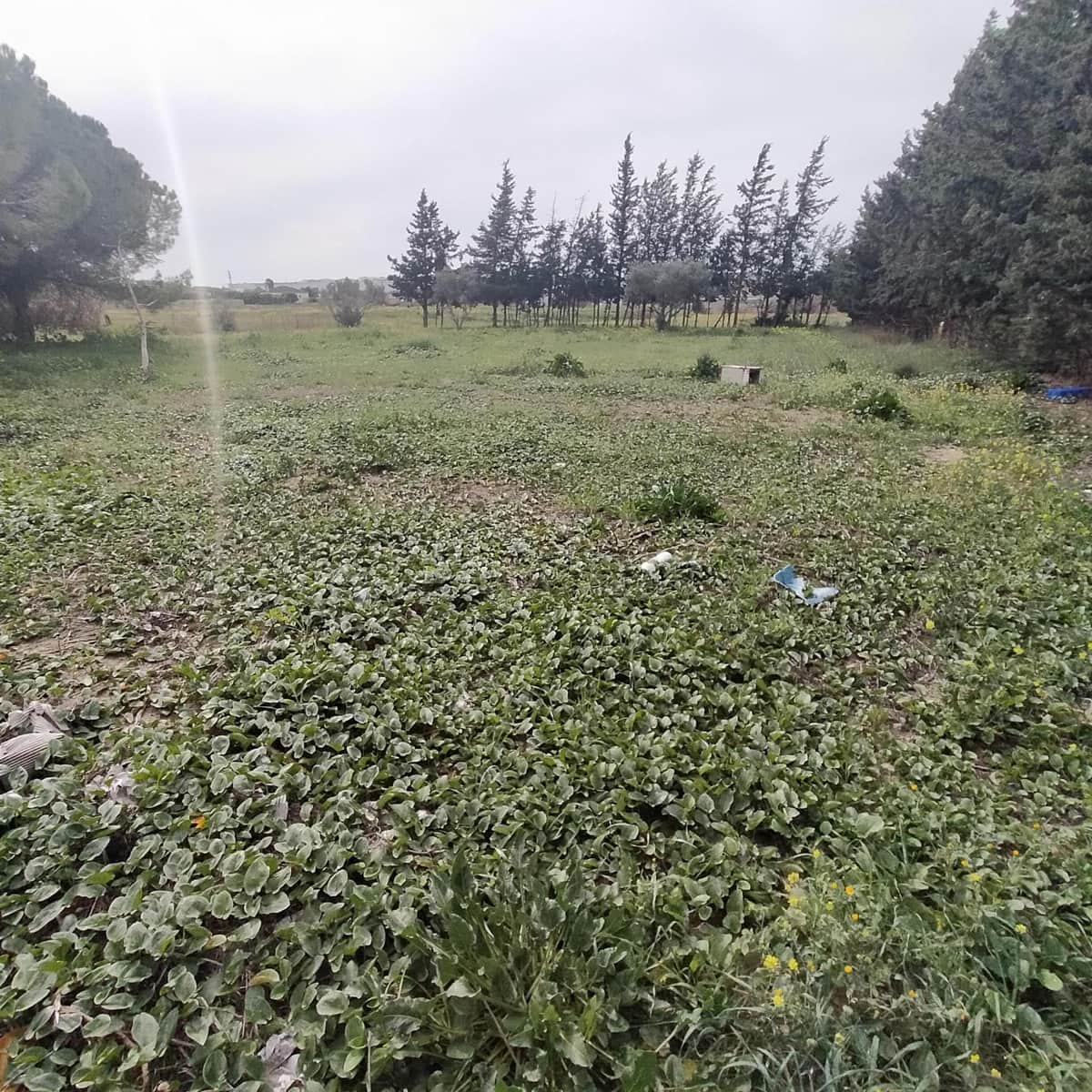 2 camera da letto Villa in vendita in Pago del Humo - 65.000 € (Rif: 7716378)