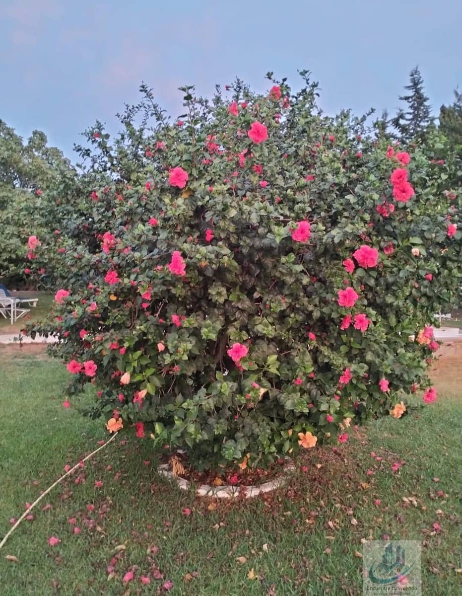 4 slaapkamer Villa te koop in Chiclana de la Frontera met zwembad - € 320.000 (Ref: 7716409)