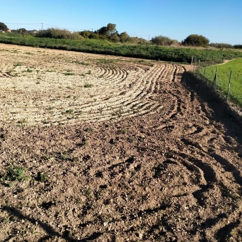 Grond te koop in Chiclana de la Frontera - € 93.000 (Ref: 8165669)