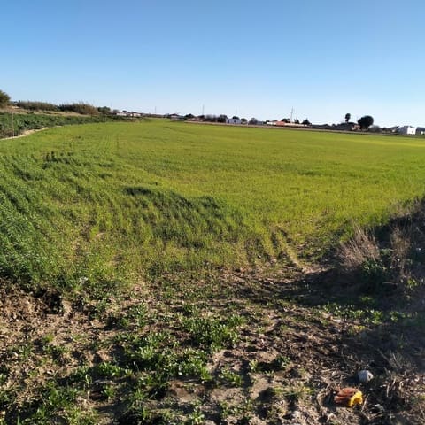 Grond te koop in Chiclana de la Frontera - € 93.000 (Ref: 8165669)