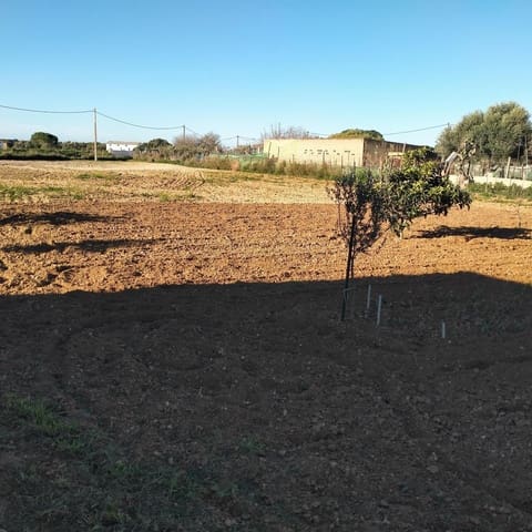 Grond te koop in Chiclana de la Frontera - € 93.000 (Ref: 8165669)