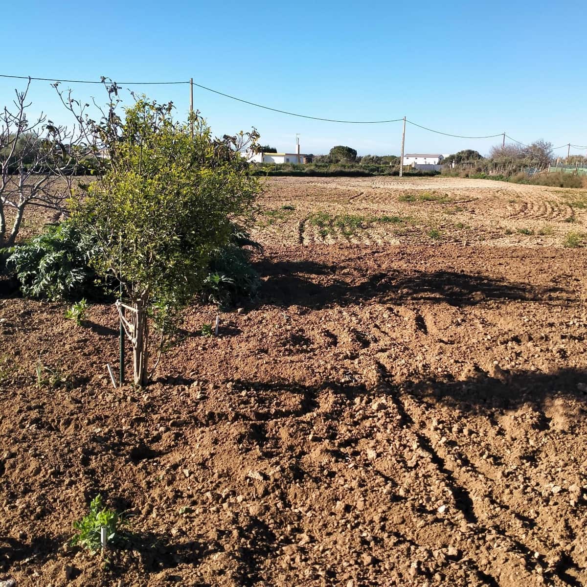 Grunde uden byggetilladelser til salg i Chiclana de la Frontera - € 93.000 (Ref: 8165669)