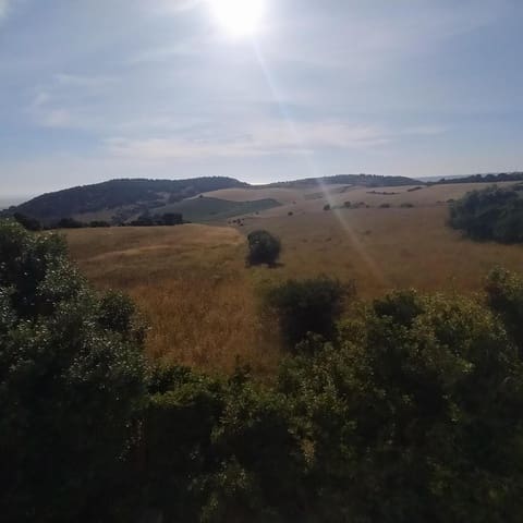 2 soverom Villa til salgs i Vejer de la Frontera - € 165 000 (Ref: 8315580)