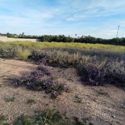 Mark till salu i Chiclana de la Frontera - 38 000 € (Ref: 8327004)