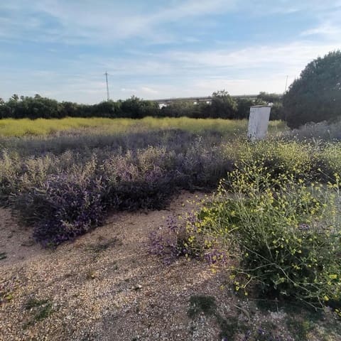 Mark till salu i Chiclana de la Frontera - 38 000 € (Ref: 8327004)