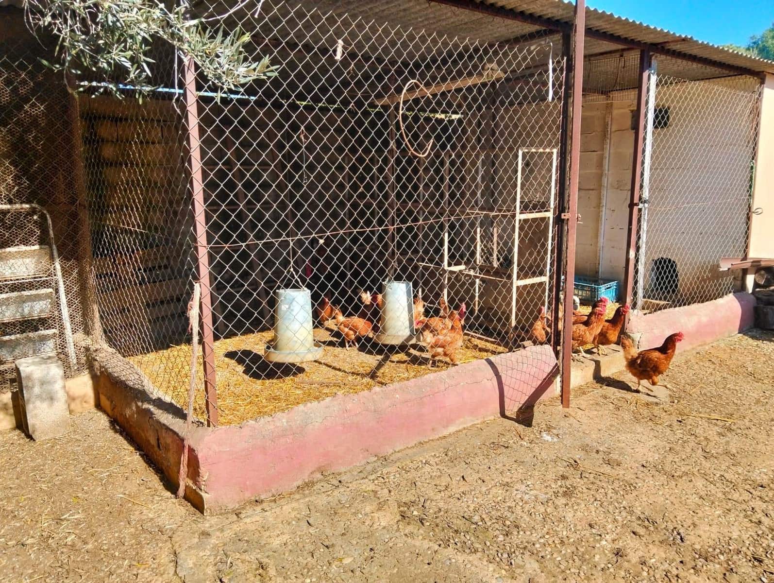 5 soverom Villa til salgs i Chiclana de la Frontera - € 515 000 (Ref: 8817274)