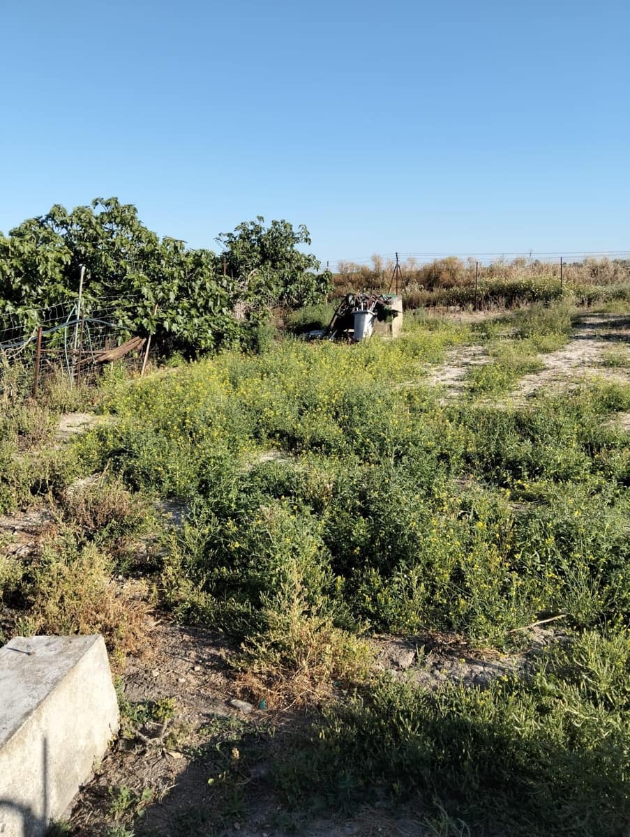 3 soverom Villa til salgs i Chiclana de la Frontera med garasje - € 245 000 (Ref: 9009930)