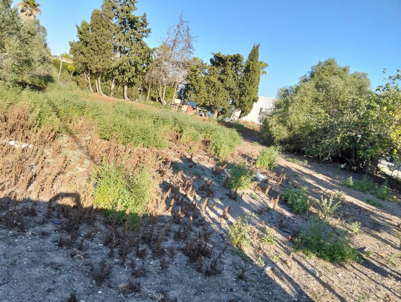 3 soverom Villa til salgs i Chiclana de la Frontera med garasje - € 245 000 (Ref: 9009930)