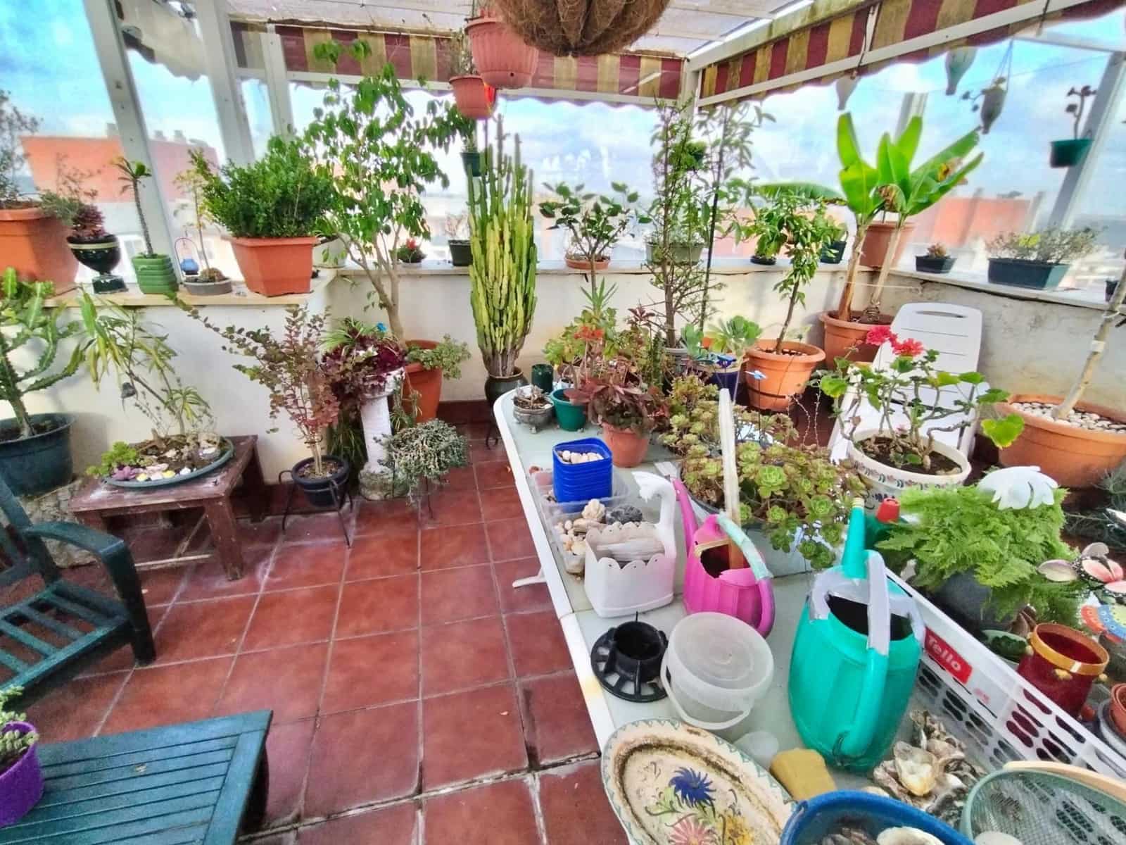 3 soveværelse Penthouse til salg i Puerto Real med swimmingpool garage - € 395.000 (Ref: 9034024)