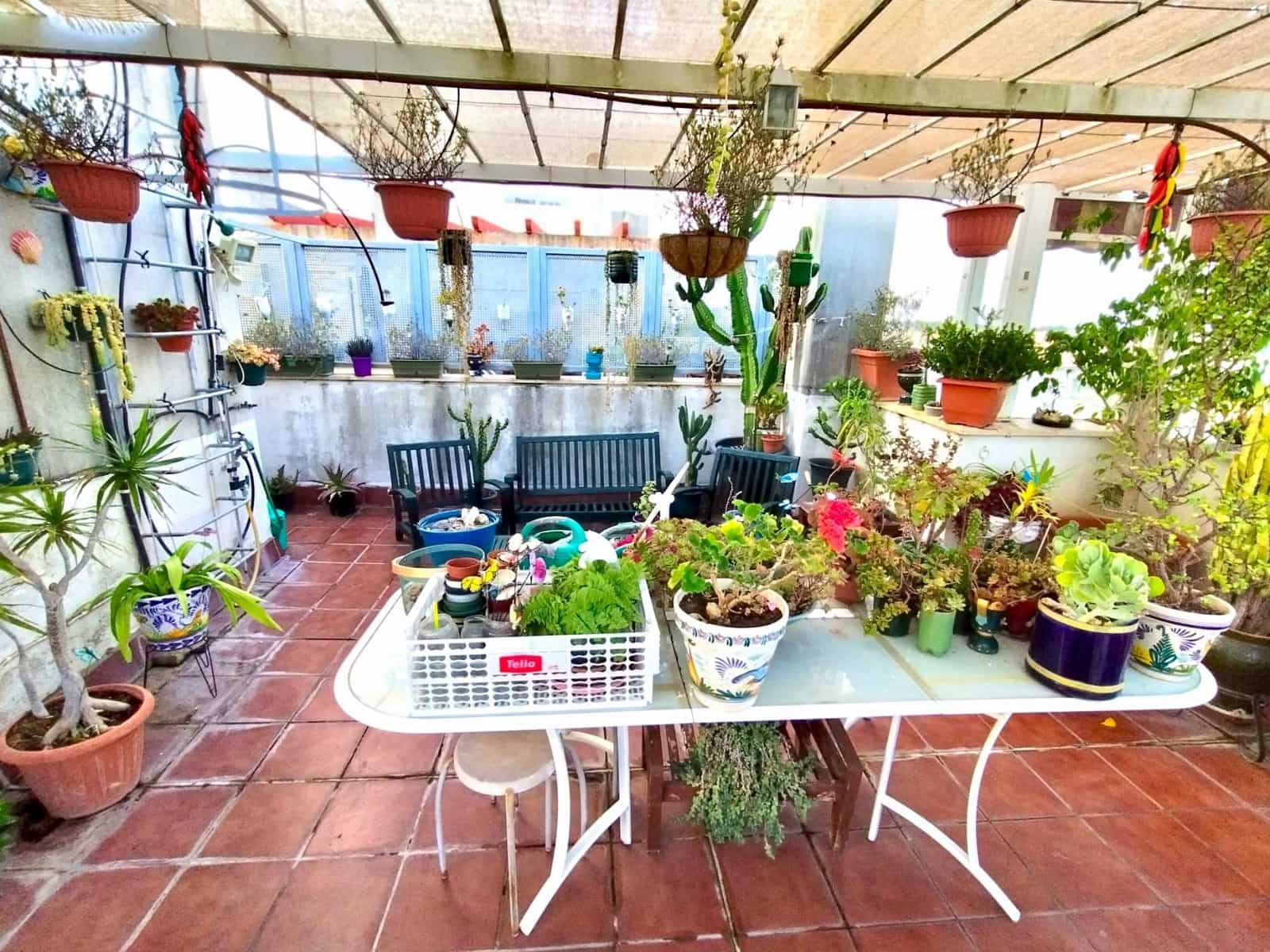 3 soveværelse Penthouse til salg i Puerto Real med swimmingpool garage - € 395.000 (Ref: 9034024)