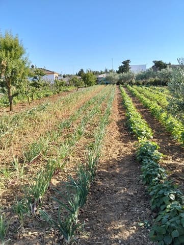 1 soveværelse Finca/Landehus til salg i Chiclana de la Frontera - € 230.000 (Ref: 9041410)