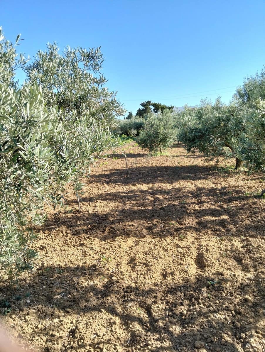1 bedroom Finca/Country House for sale in Chiclana de la Frontera - € 230,000 (Ref: 9041410)