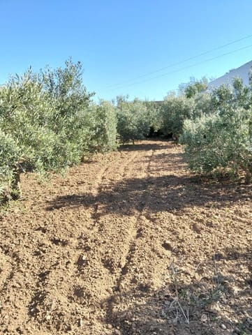 1 soveværelse Finca/Landehus til salg i Chiclana de la Frontera - € 230.000 (Ref: 9041410)