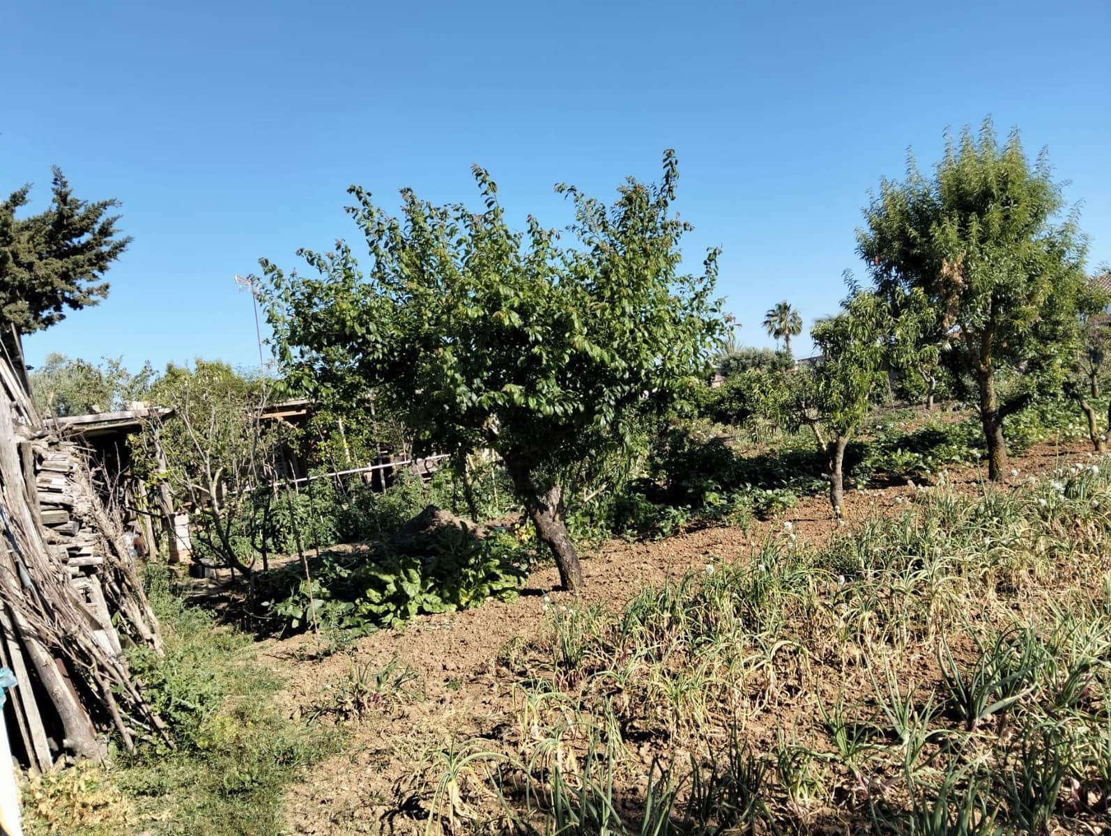 1 bedroom Finca/Country House for sale in Chiclana de la Frontera - € 230,000 (Ref: 9041410)