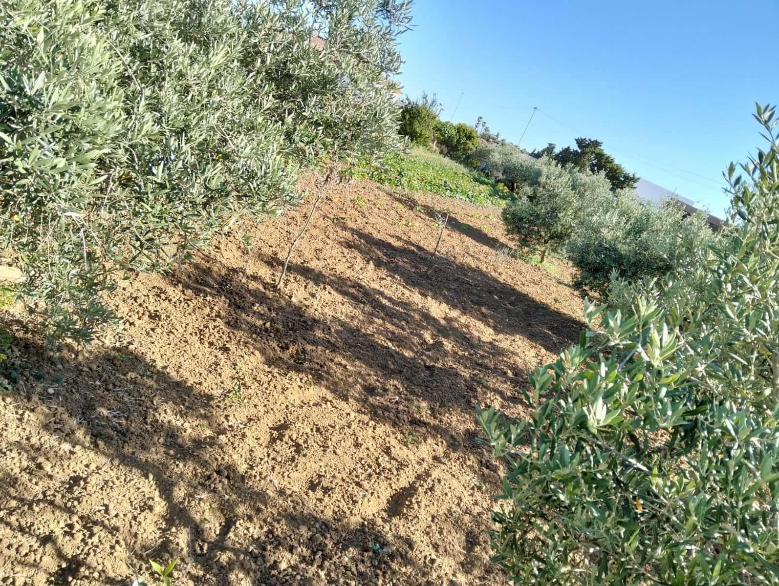 1 bedroom Finca/Country House for sale in Chiclana de la Frontera - € 230,000 (Ref: 9041410)