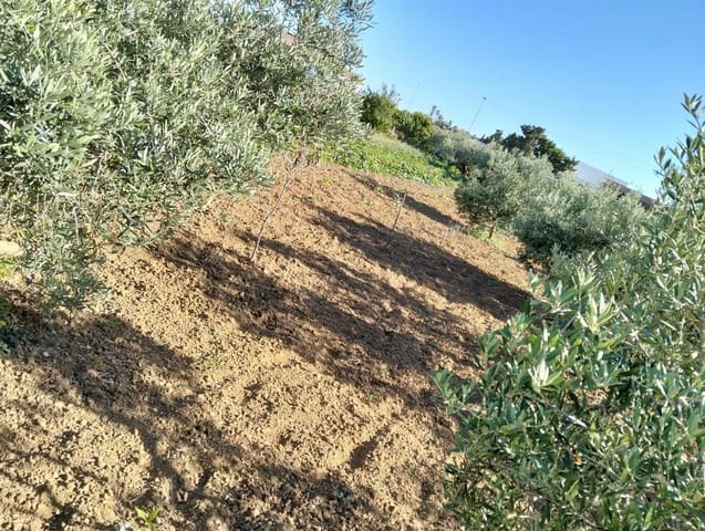 1 soveværelse Finca/Landehus til salg i Chiclana de la Frontera - € 230.000 (Ref: 9041410)