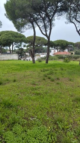 Tomt till salu i Chiclana de la Frontera - 165 000 € (Ref: 9559773)