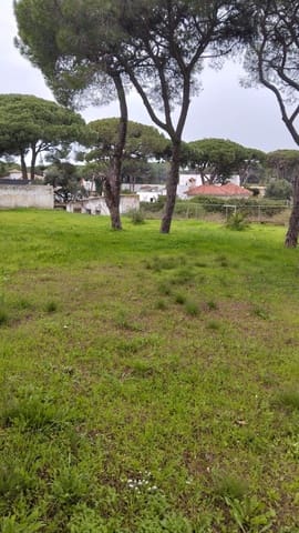 Tomt till salu i Chiclana de la Frontera - 165 000 € (Ref: 9559773)