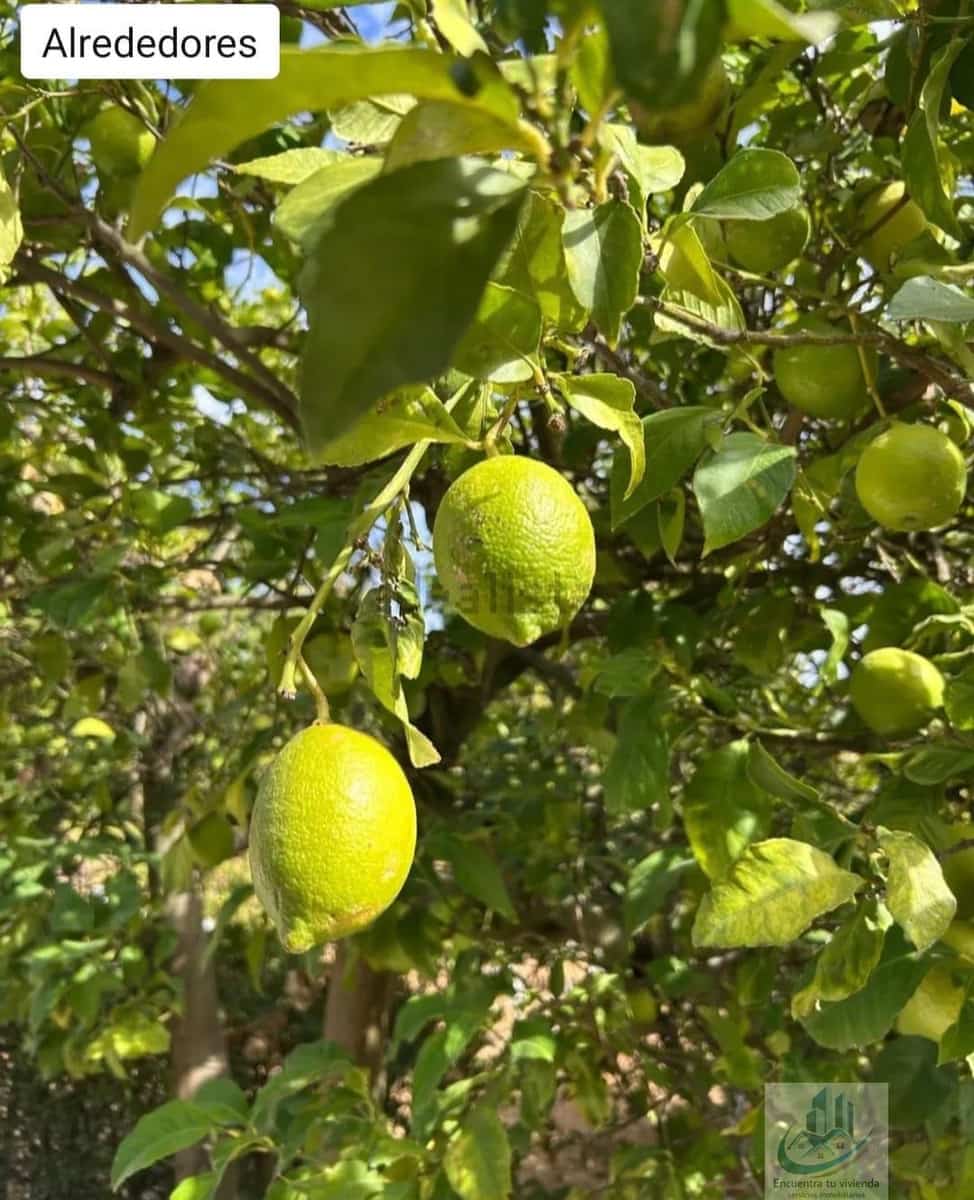 3 bedroom Finca/Country House for sale in Puerto Real with pool - € 349,500 (Ref: 9694518)