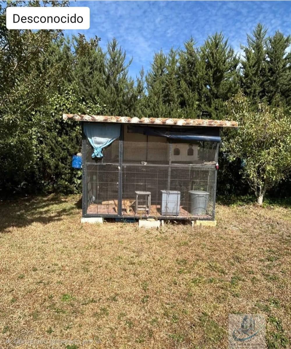 3 bedroom Finca/Country House for sale in Puerto Real with pool - € 349,500 (Ref: 9694518)