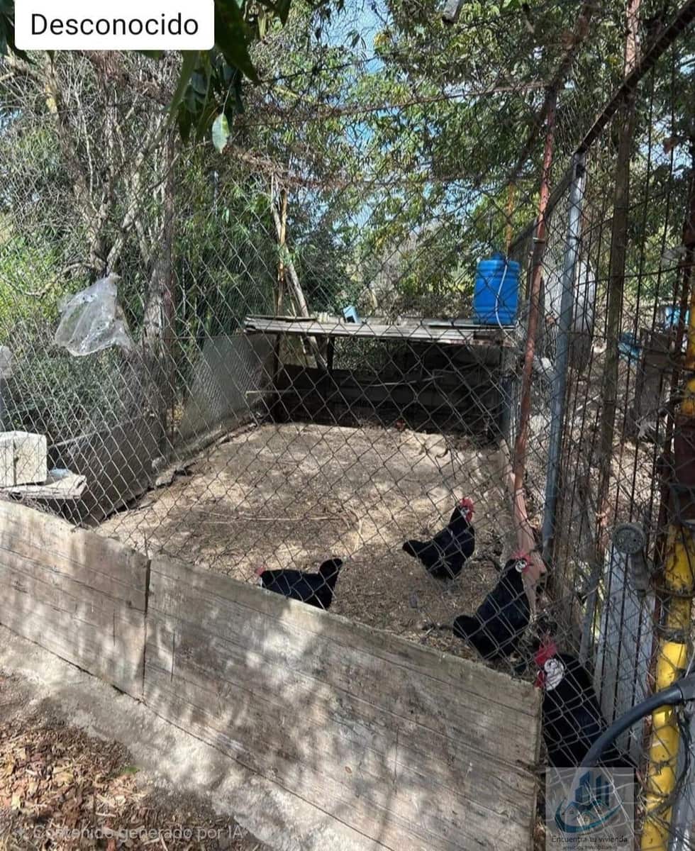 3 bedroom Finca/Country House for sale in Puerto Real with pool - € 349,500 (Ref: 9694518)