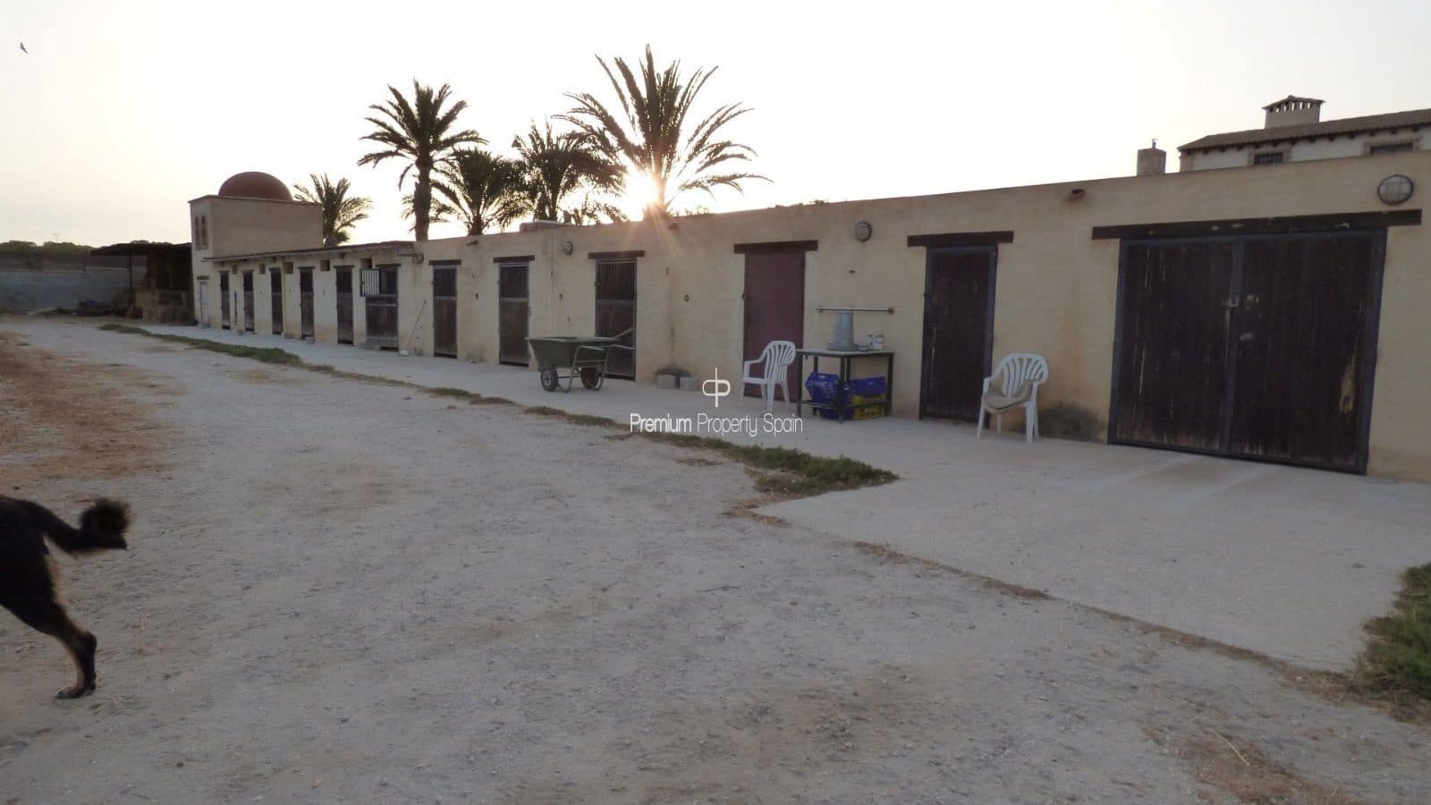 Byggegrund til salg i Elche / Elx - € 750.000 (Ref: 8640155)