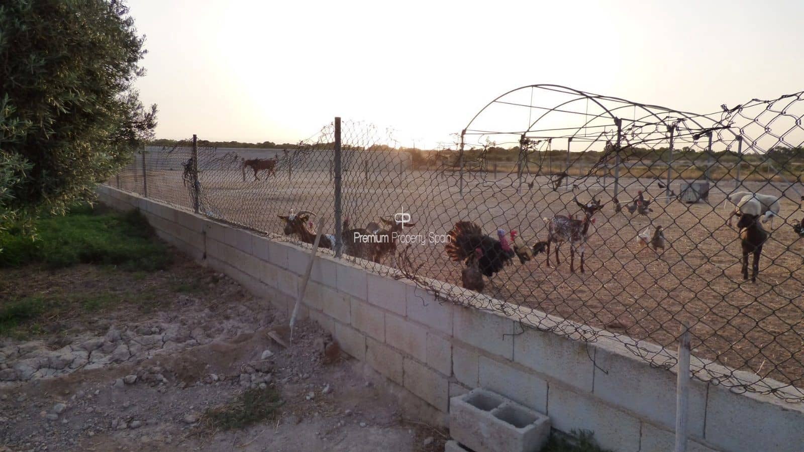 Byggegrund til salg i Elche / Elx - € 750.000 (Ref: 8640155)