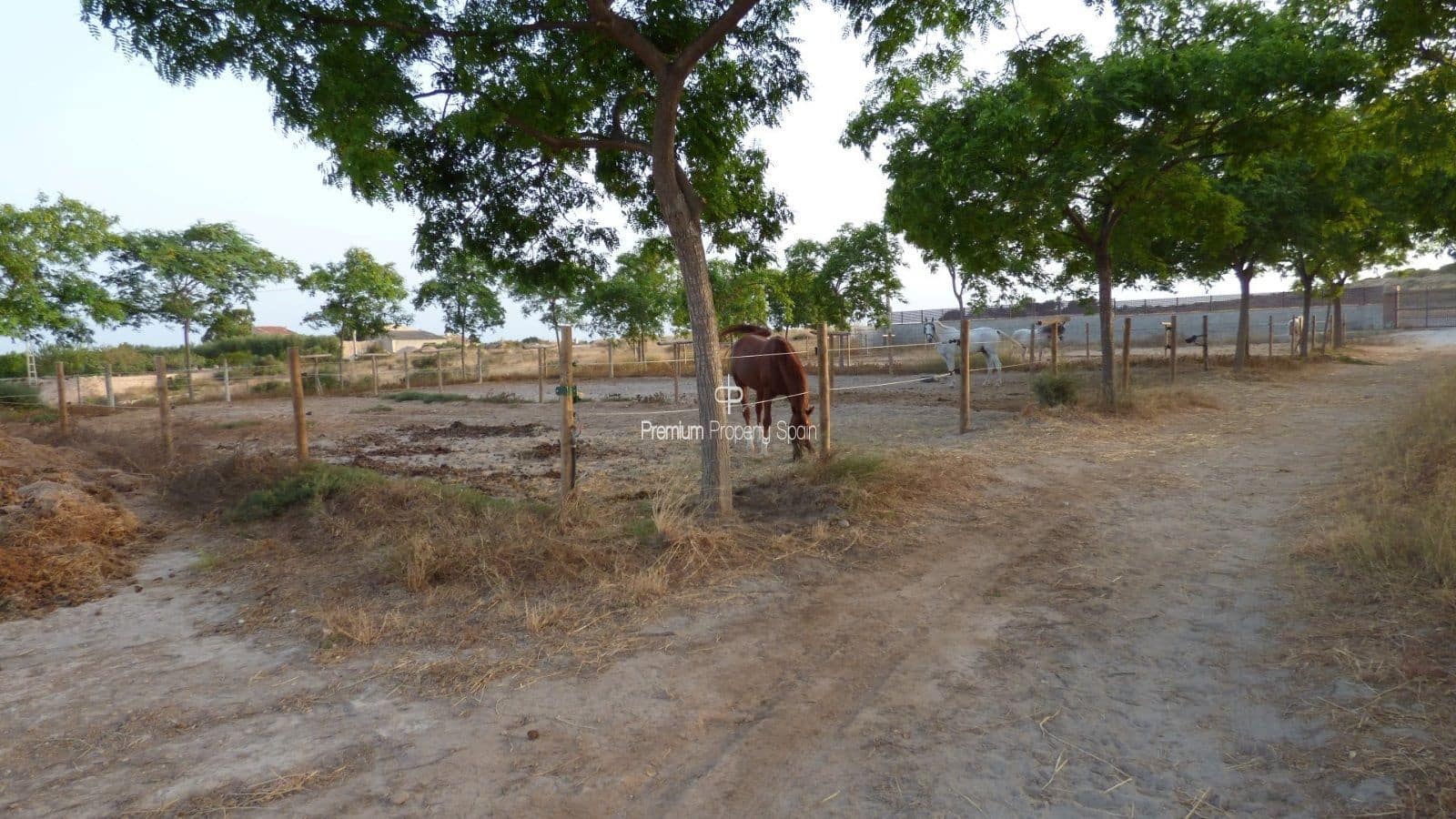 Byggegrund til salg i Elche / Elx - € 750.000 (Ref: 8640155)