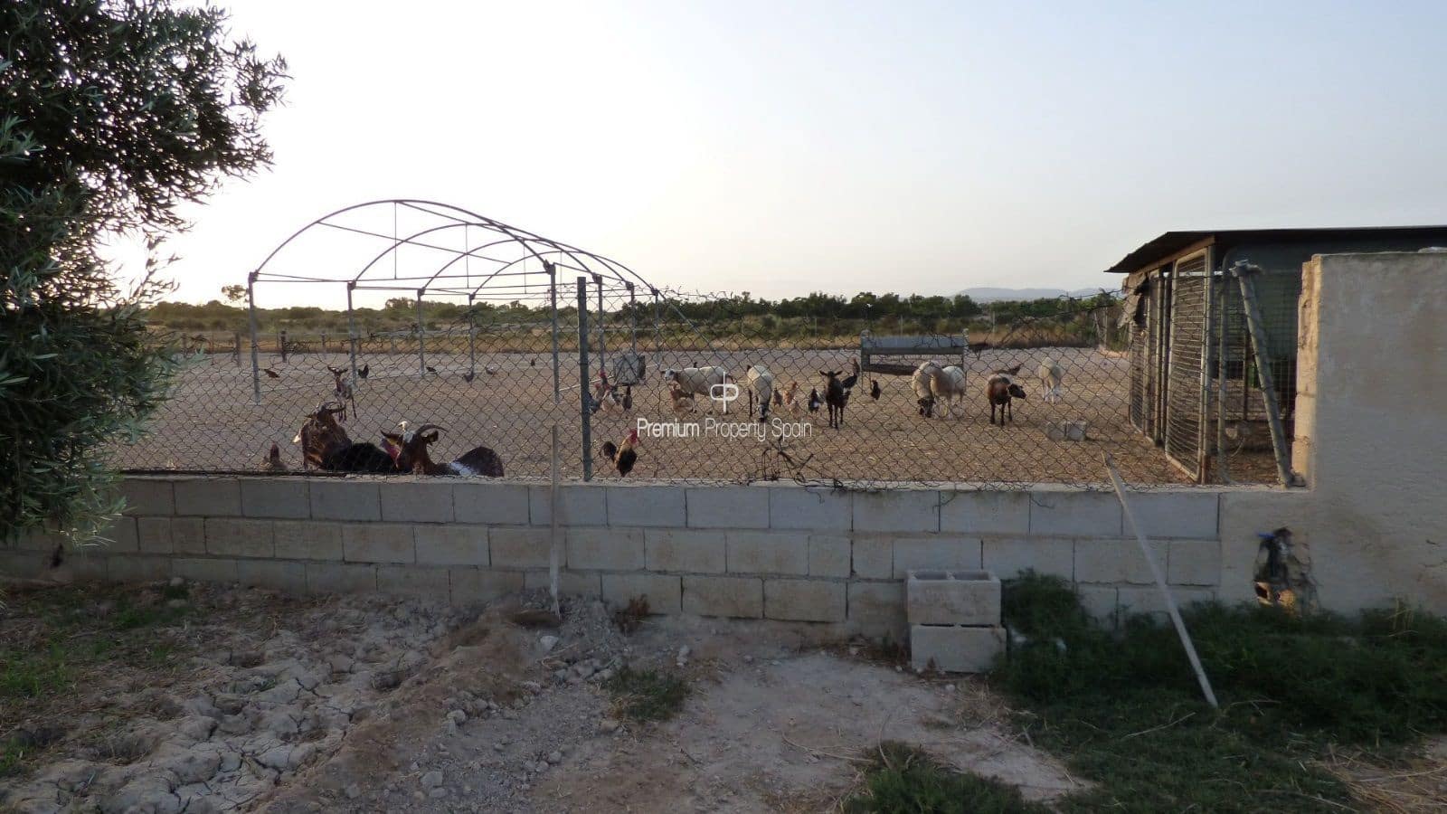 5 chambre Villa/Maison à vendre à Elche / Elx avec garage - 750 000 € (Ref: 8640156)