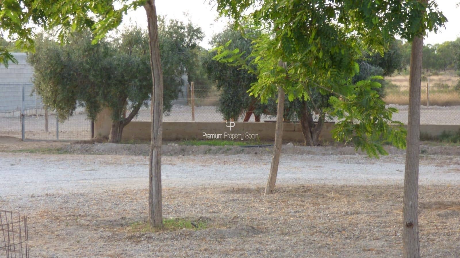 5 chambre Villa/Maison à vendre à Elche / Elx avec garage - 750 000 € (Ref: 8640156)