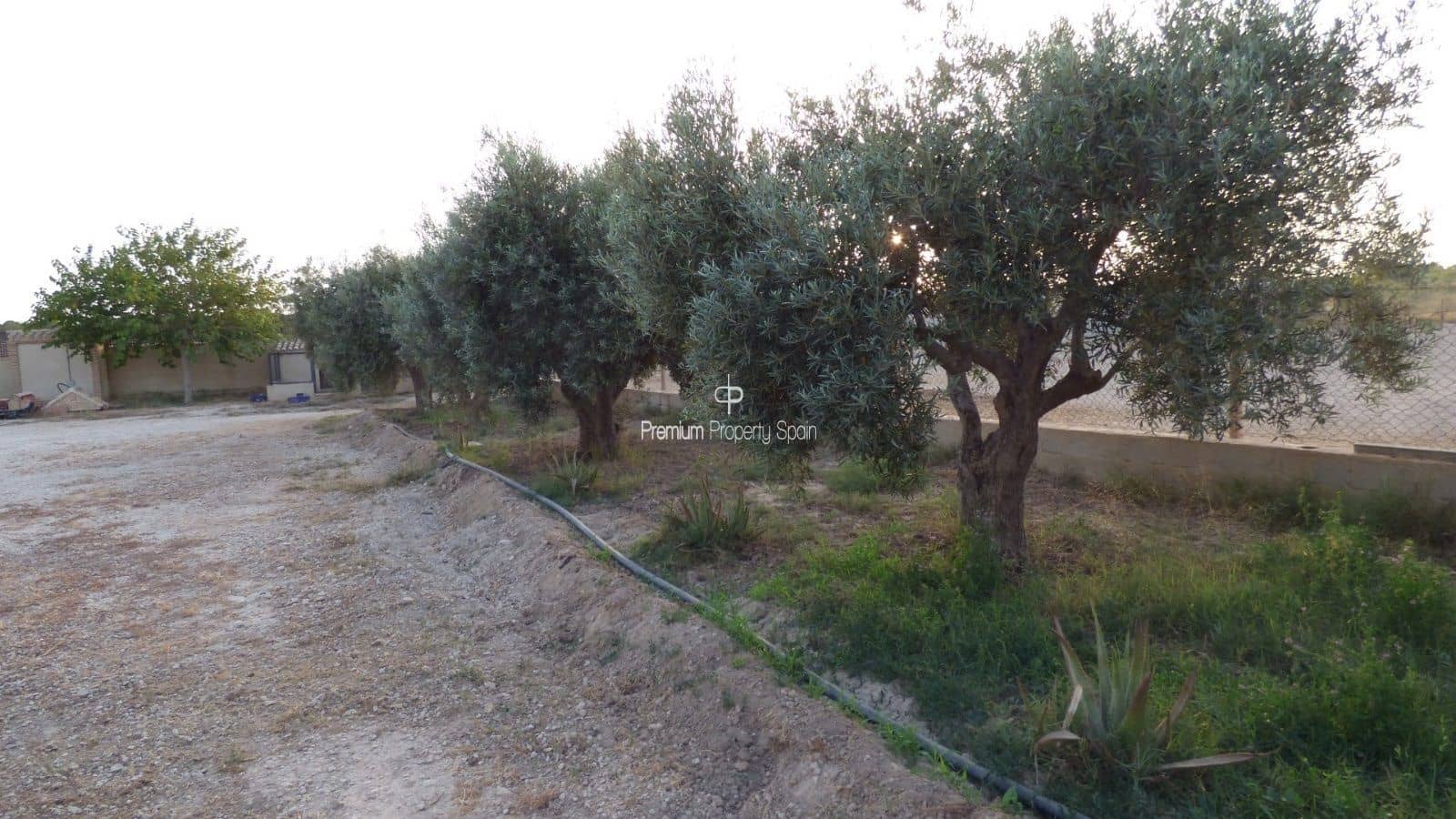 5 chambre Villa/Maison à vendre à Elche / Elx avec garage - 750 000 € (Ref: 8640156)