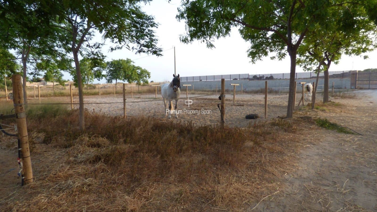 5 chambre Villa/Maison à vendre à Elche / Elx avec garage - 750 000 € (Ref: 8640156)