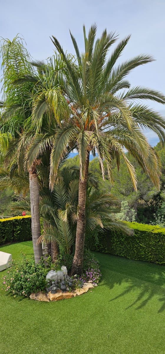 4 slaapkamer Villa te koop in Javea / Xabia met zwembad garage - € 1.650.000 (Ref: 9432691)