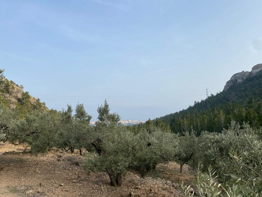 Grunde uden byggetilladelser til salg i Pratdip - € 120.000 (Ref: 9479471)