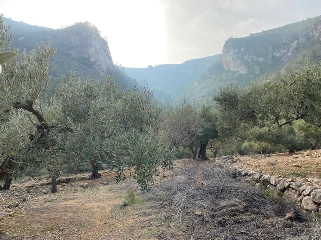 Ubebygd land til salgs i Pratdip - € 120 000 (Ref: 9479471)