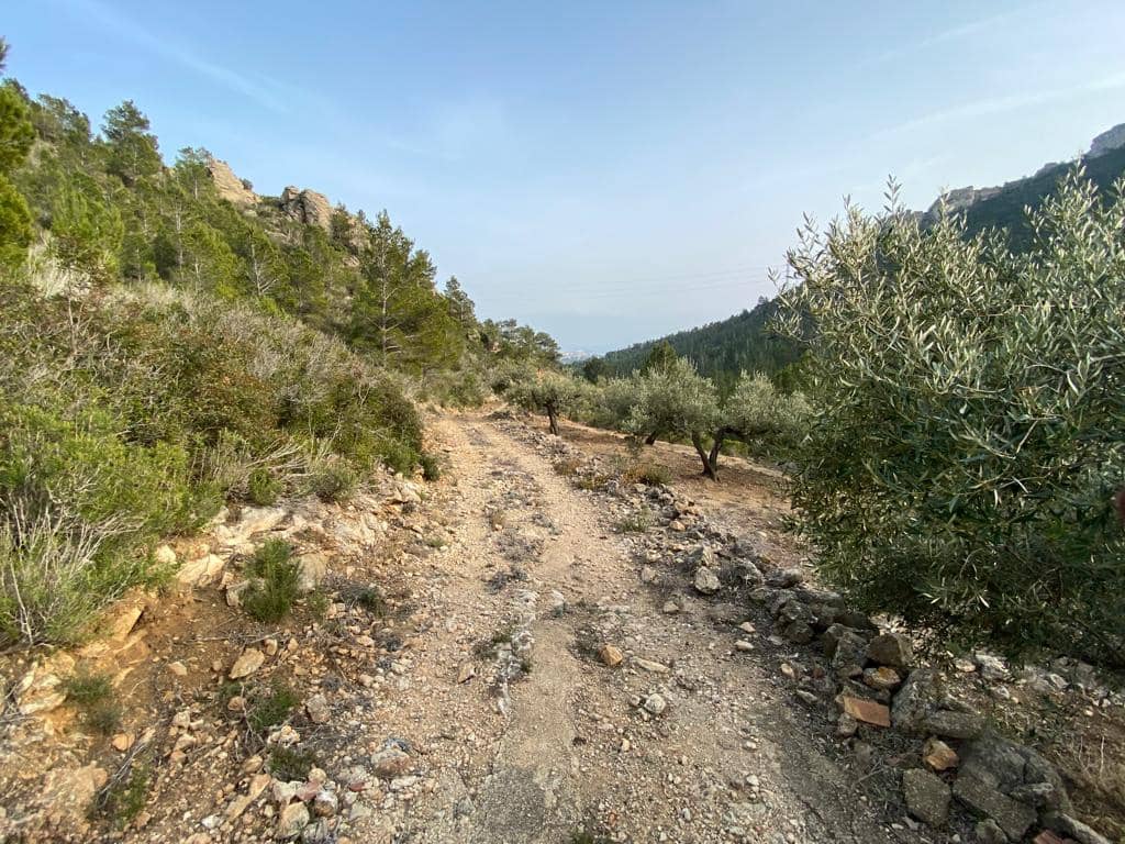 Grunde uden byggetilladelser til salg i Pratdip - € 120.000 (Ref: 9479471)