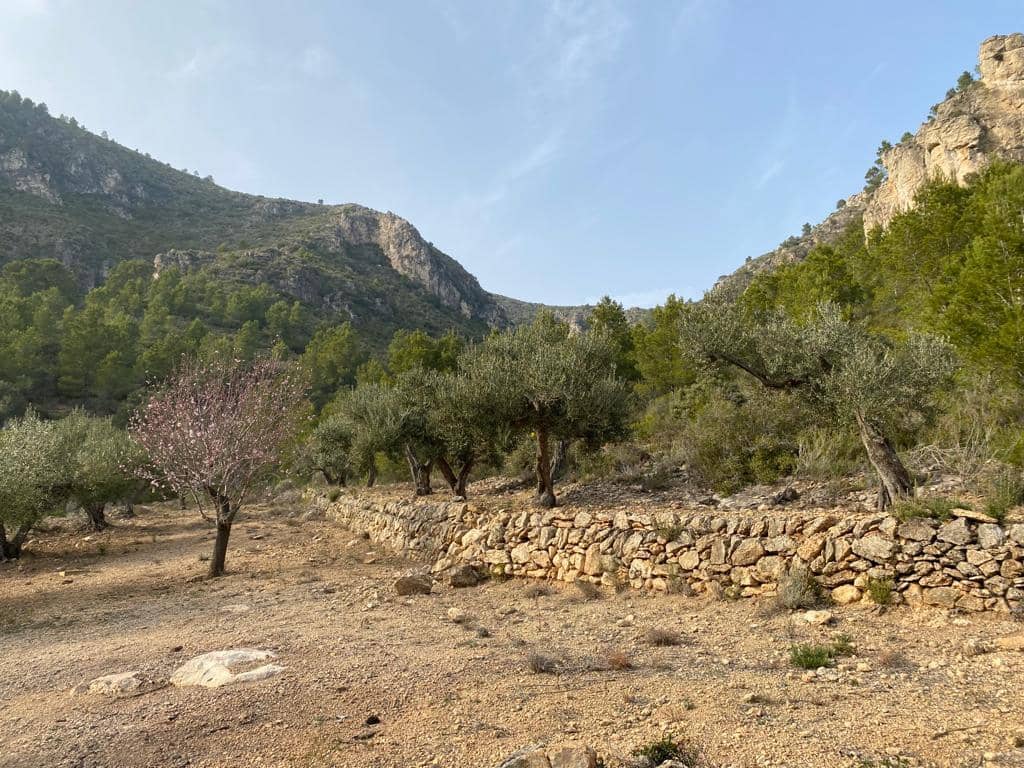 Grunde uden byggetilladelser til salg i Pratdip - € 120.000 (Ref: 9479471)