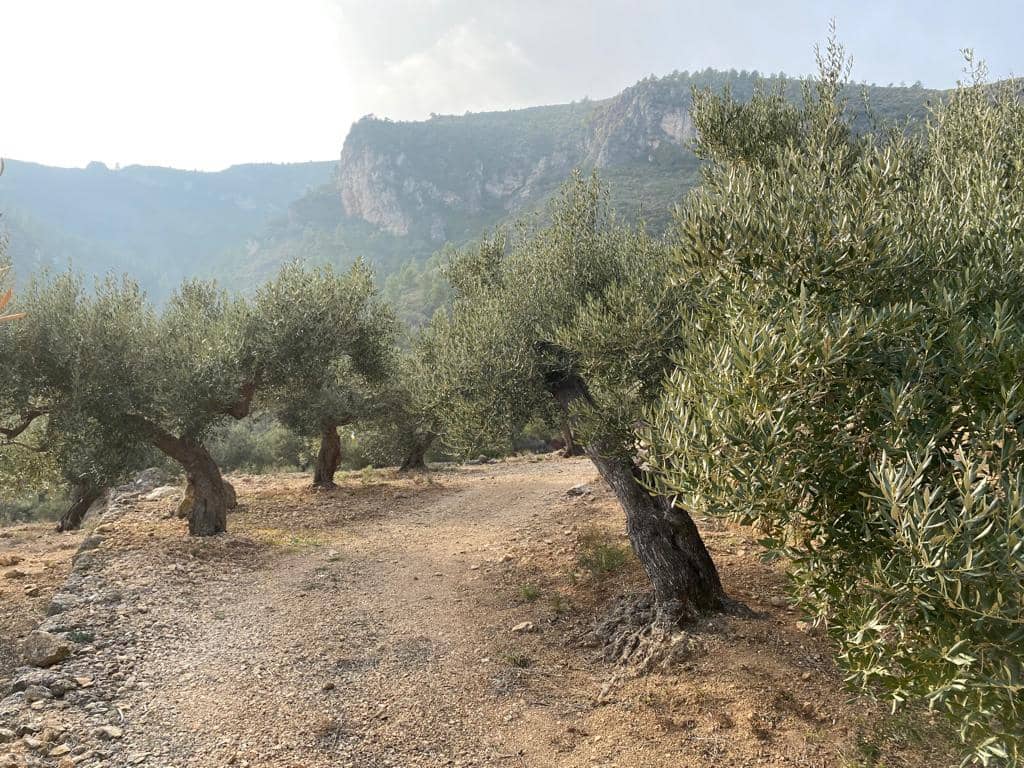 Grunde uden byggetilladelser til salg i Pratdip - € 120.000 (Ref: 9479471)