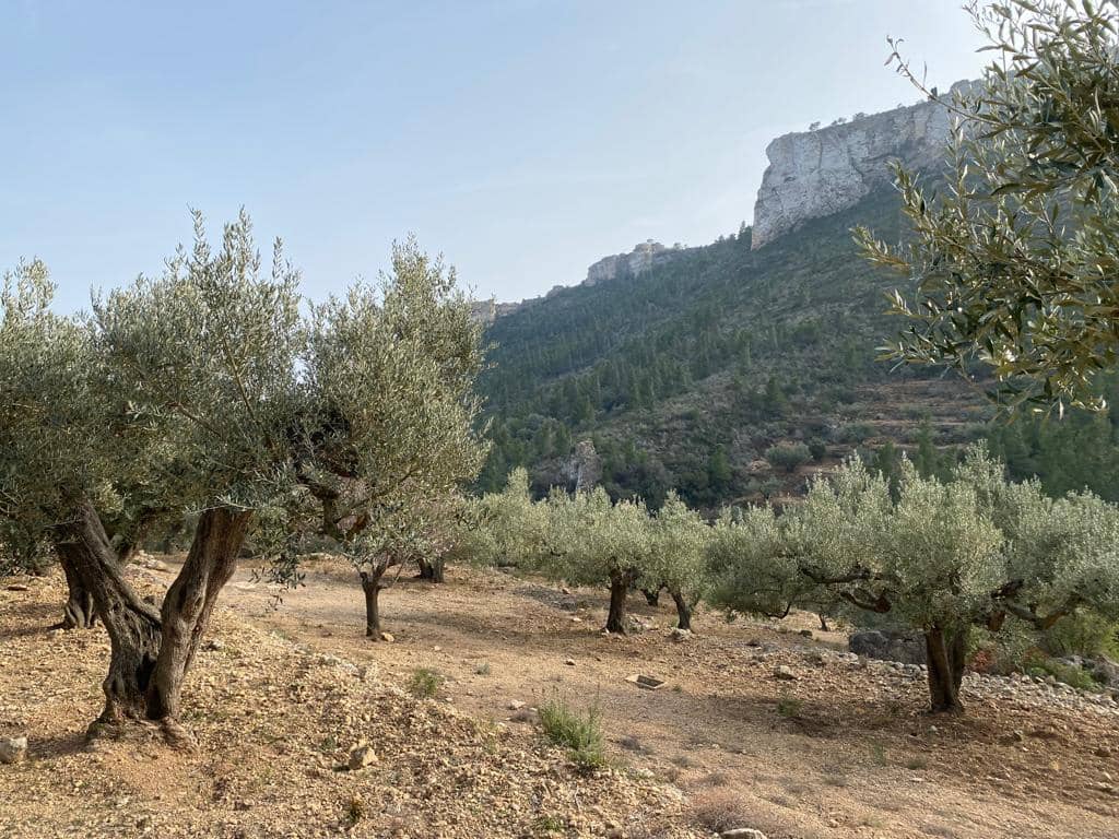 Grunde uden byggetilladelser til salg i Pratdip - € 120.000 (Ref: 9479471)